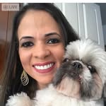 Bobby Dog - @bobby__shihtzu - Instagram