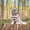 Bobby_theshihtzu - @bobby_theshihtzu17 - TikTok