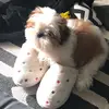 shihtzubobby - @shihtzubobby - TikTok