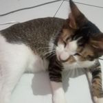 Oby - @bobby_sigalatama - Instagram