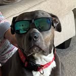 Bobby Sikes - @bigbsikes - Instagram
