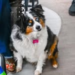 Bobby Sikes - @sikesracing4 - Instagram