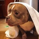 Bobby Silver - @wee_girl - Instagram