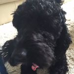 Bobby Simms - @bobby6838 - Instagram