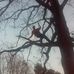 Bobby Singletary - Facebook