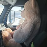 Bobby Sites - @bobbysites - Instagram