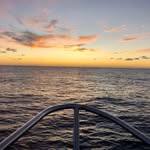 @skipper.bobbyspongy - Instagram
