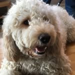 Bobby Small - @bobbysmall2777 - Instagram