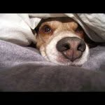 Bobby Small - @bobbysmall - Instagram