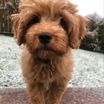 Bobby - @bobby_socksx - Instagram