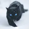 Bobby Soni - @user83059790 - TikTok