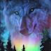 Bobby Sonnenberg - Facebook