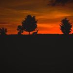 Bobby Sorrells - @bobby.sorrells - Instagram