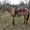 Bobby Steele - @bobby.steele5 - TikTok
