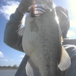 Bobby Swain - @razorbass33 - Instagram
