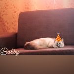 Bobby Swan - @bobbyswan07 - Instagram