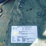 Bobby tat - @tat_bobby - Instagram