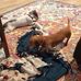 Bobby Tate - Facebook