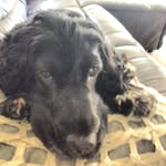 Bobby Thomson - @thomson.bobby - Instagram
