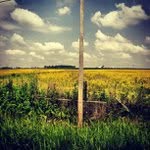 Bobby Toole - @teenzcornydonald - Instagram