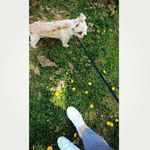 Bobby Tyler - @bobbytylerr - Instagram