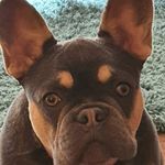 bobby tyson firmino - @gradycath - Instagram