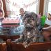 Bobbi Veazey - Facebook