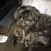 Travelchick - @bobbiveazey - TikTok