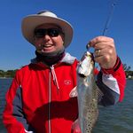 Bobby Watts - @bobby_watts_ky - Instagram
