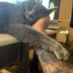 Bobby Webster - @bobby_webster1968 - Instagram