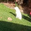 Bobby Wild - @bobby.wild69 - TikTok