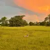 Bobby.Wild - @bobby.wild1 - TikTok