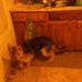 Bobby Williamson - Facebook