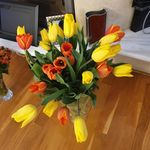 Bobby Williamson - @bobbywilly101 - Instagram