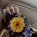 Bobbie Willoughby - Facebook
