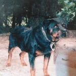 Bobby Winstead - @bobby.winstead.9277 - Instagram