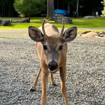 Bob Yeager - @bobyeager63 - Instagram