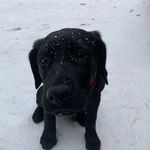 🐾Bodie Gleckman🐾 - @bodie.king.gleckman - Instagram