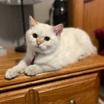 Bodie - @king.bodie - Instagram