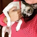 King Bodie - @kingbodiebear - Instagram