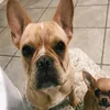 boey Adams - @boey.erinn.adams - TikTok
