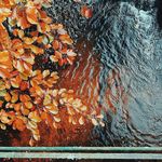 Bogdan Teodorescu - @bogdan.teodorescu.3532 - Instagram