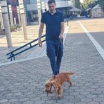 Bojan Popovic - @bojan_popovich - Instagram