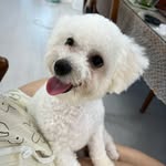 박복순 - @boksoonpark_ - Instagram