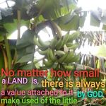 bolanle ojo festus - @bolanleojofestus - Instagram