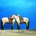 Bold Ochir - Facebook