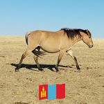 Bolor Baatar - @bolor9746 - Instagram