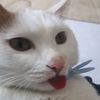 bolorbat6 - @bolorbat6 - TikTok