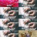 Bolor Davaa - Facebook