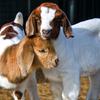 Bongani Mbatha - @bongani.mbatha10 - TikTok